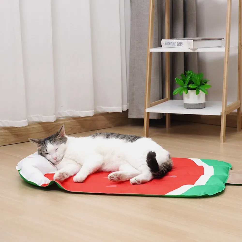 Versatile design can be used as a standalone mat or paired with pet beds, offering multiple functionality options for businesses.