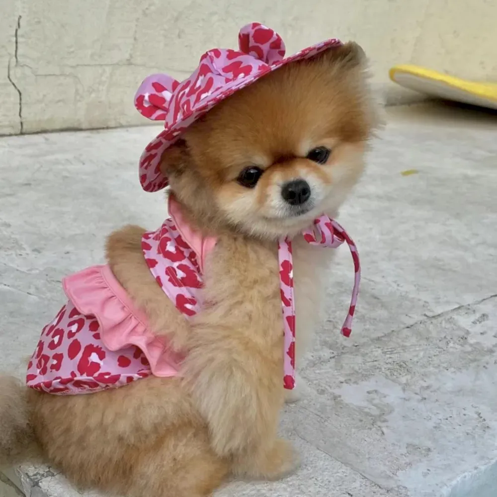 Puppy Bathing Dress Suit bulk