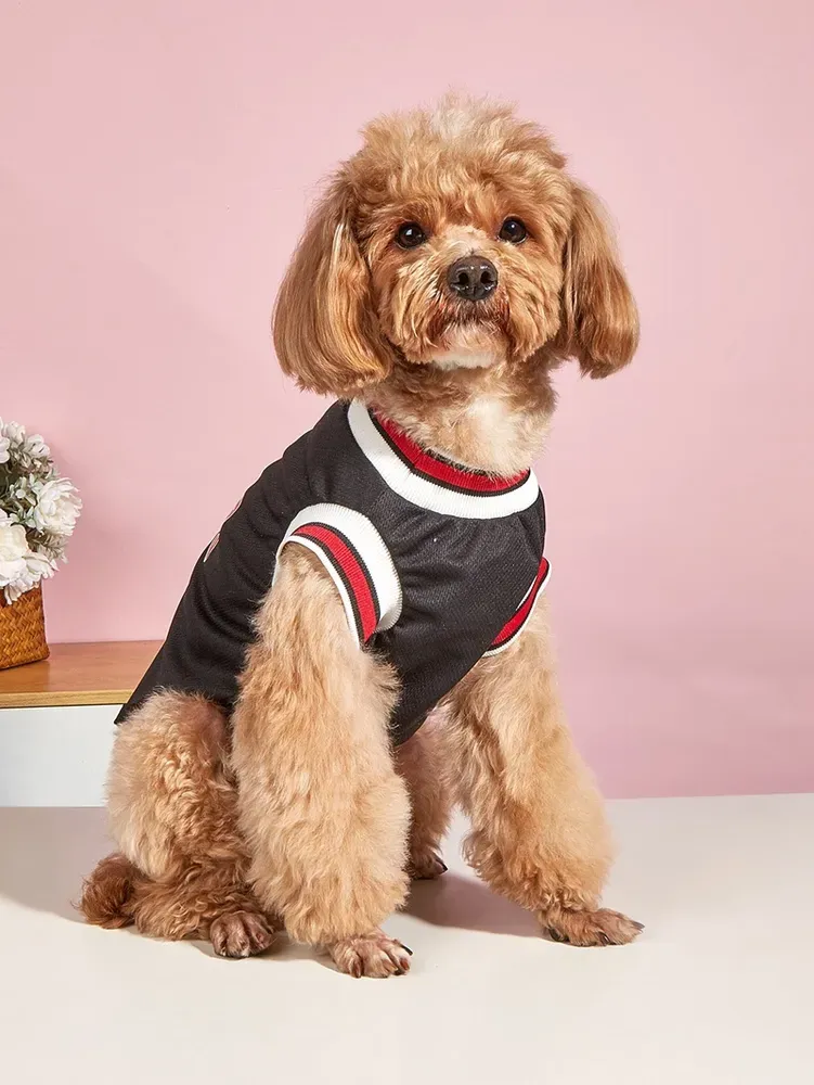 Available in sizes for small, medium, and large dogs for a perfect fit.