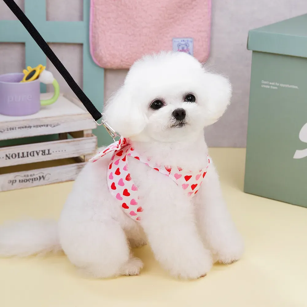 Easy to put on and take off, making dressing up stress-free for pets.
