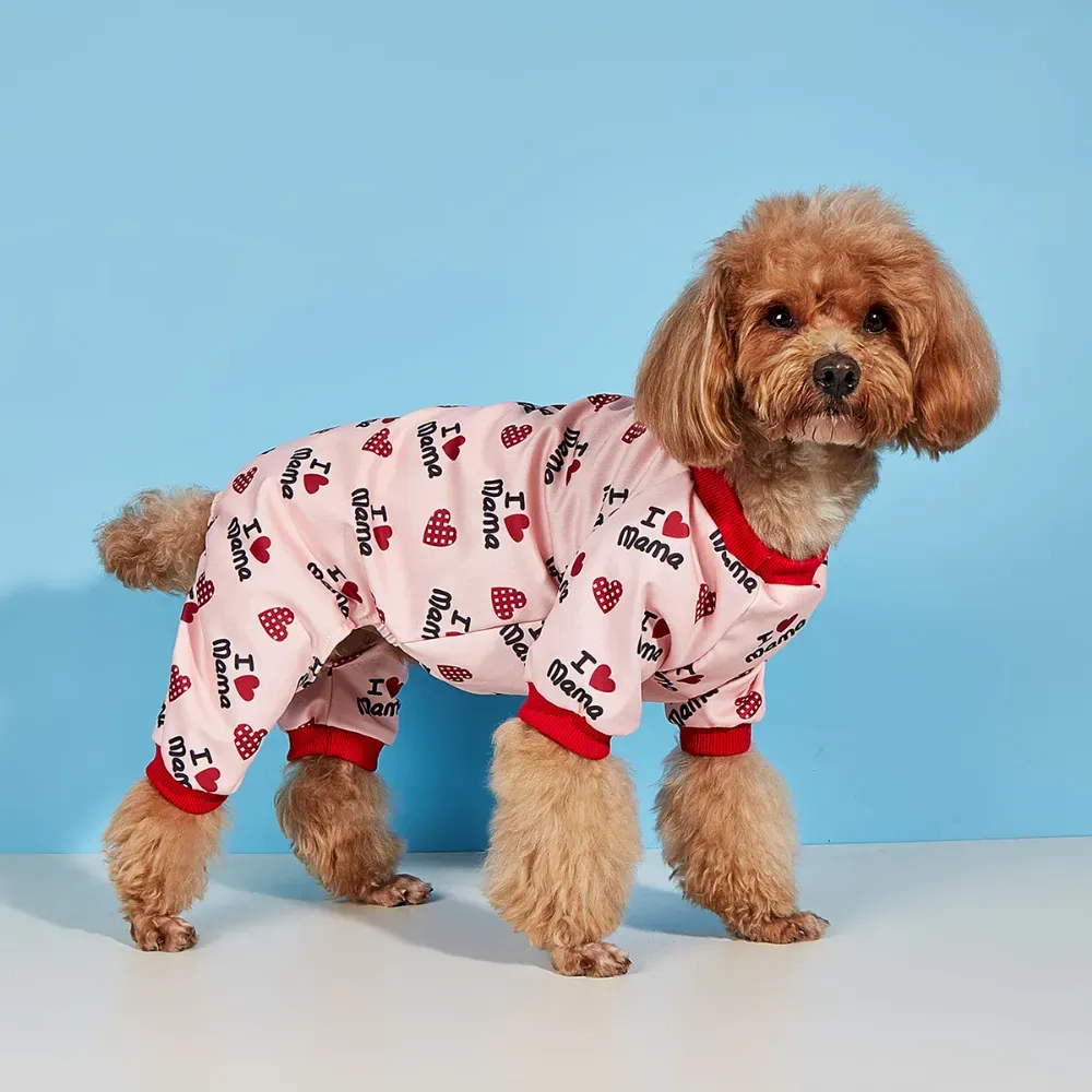 Spring Pet Jumpsuit