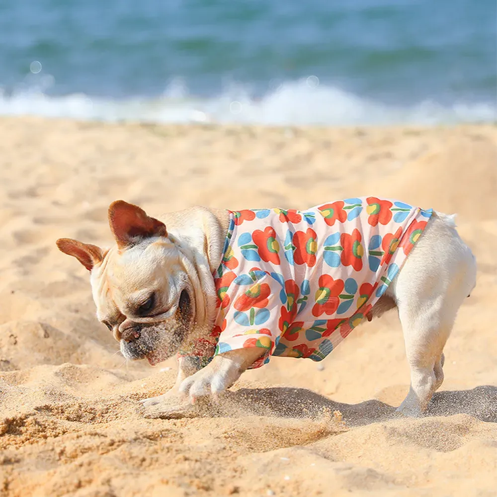 Summer Breathable Mesh Cooling T-Shirt for Dogs (6) Keeps pets comfortable and stylish in warm weather.
