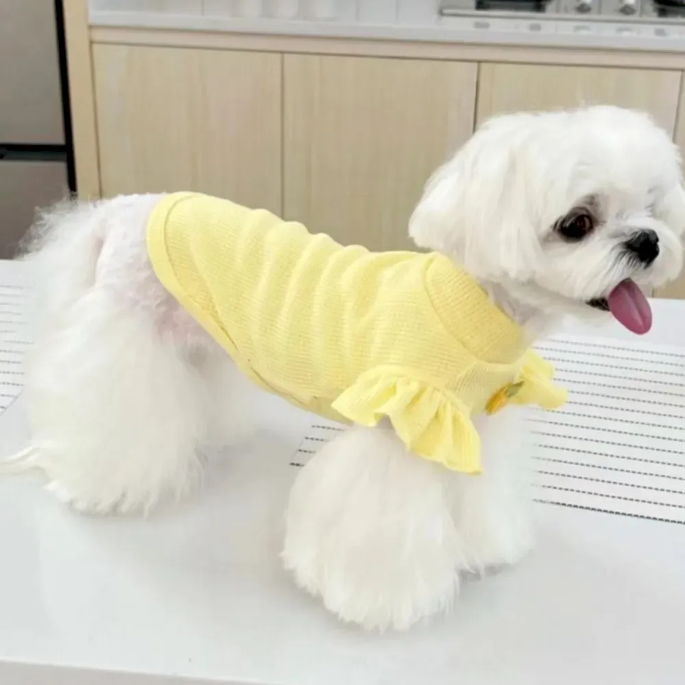 Strawberry Printed dog shirt