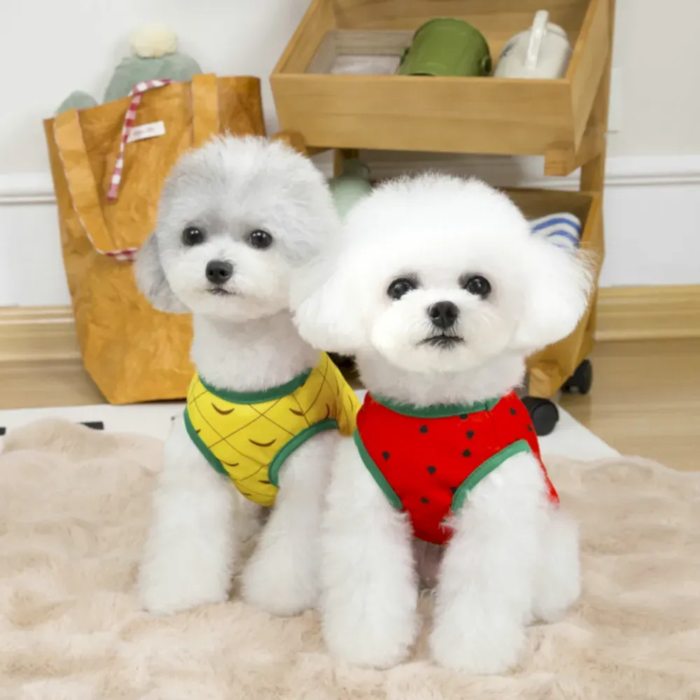 watermelon dog clothing wholesale