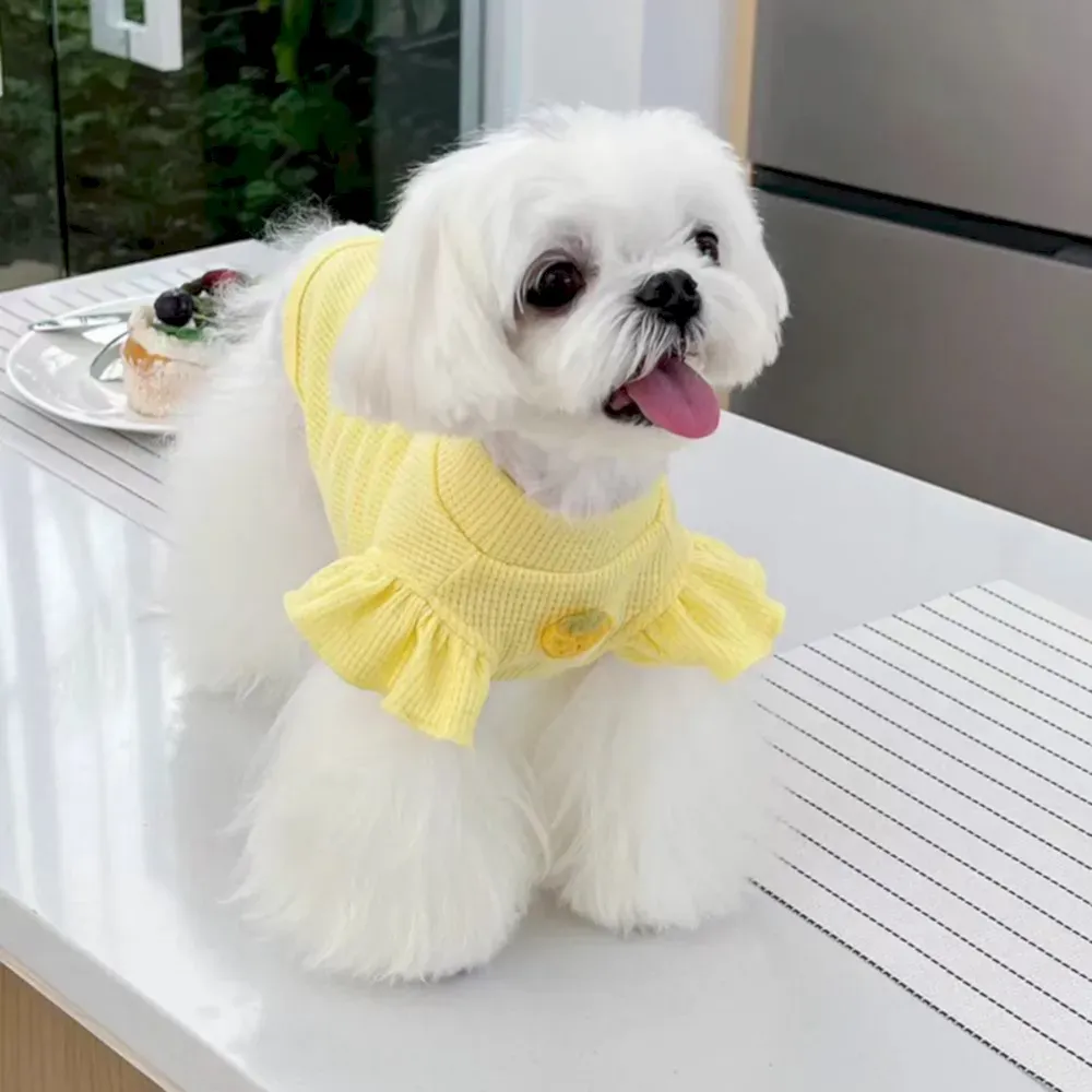 yellow Printed Waffle Dog Short Sleeve