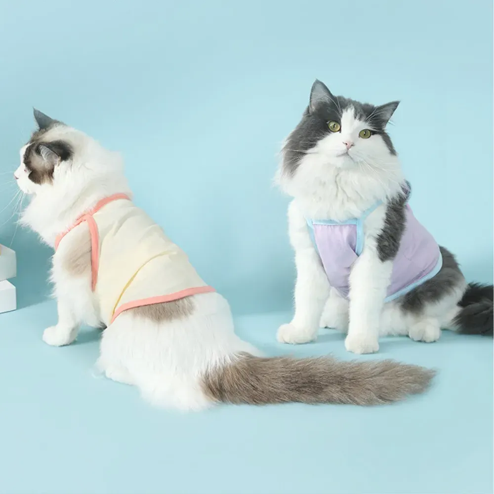 Increased size options for larger pets, ensuring a perfect fit.