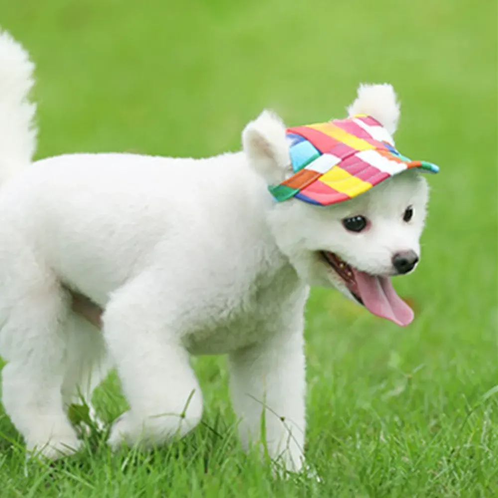 Pet Hat for Outdoor Use