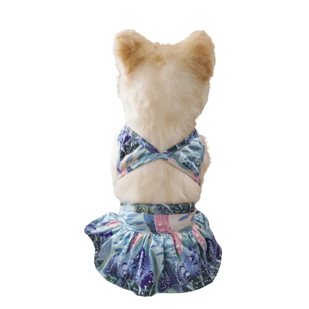 dog summer beach outfit