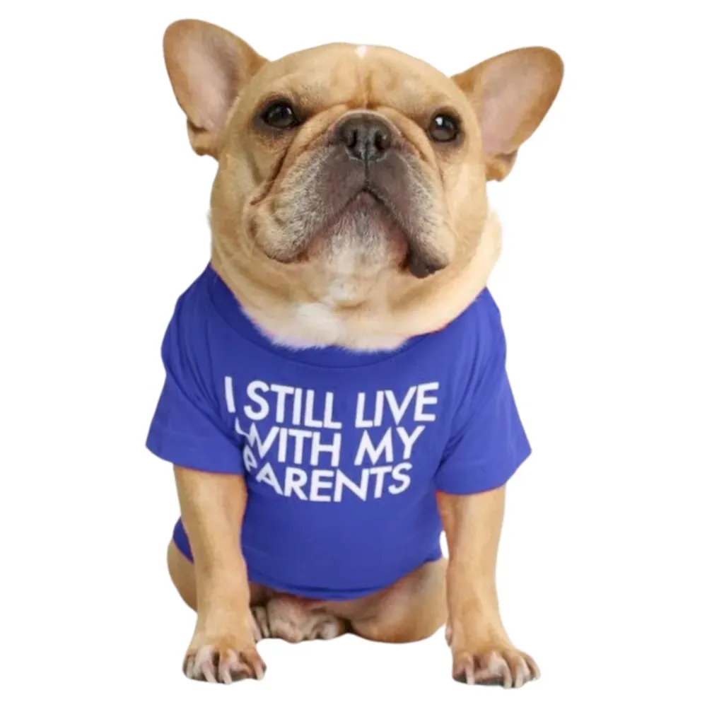 blue Letter printed bulldog t-shirt