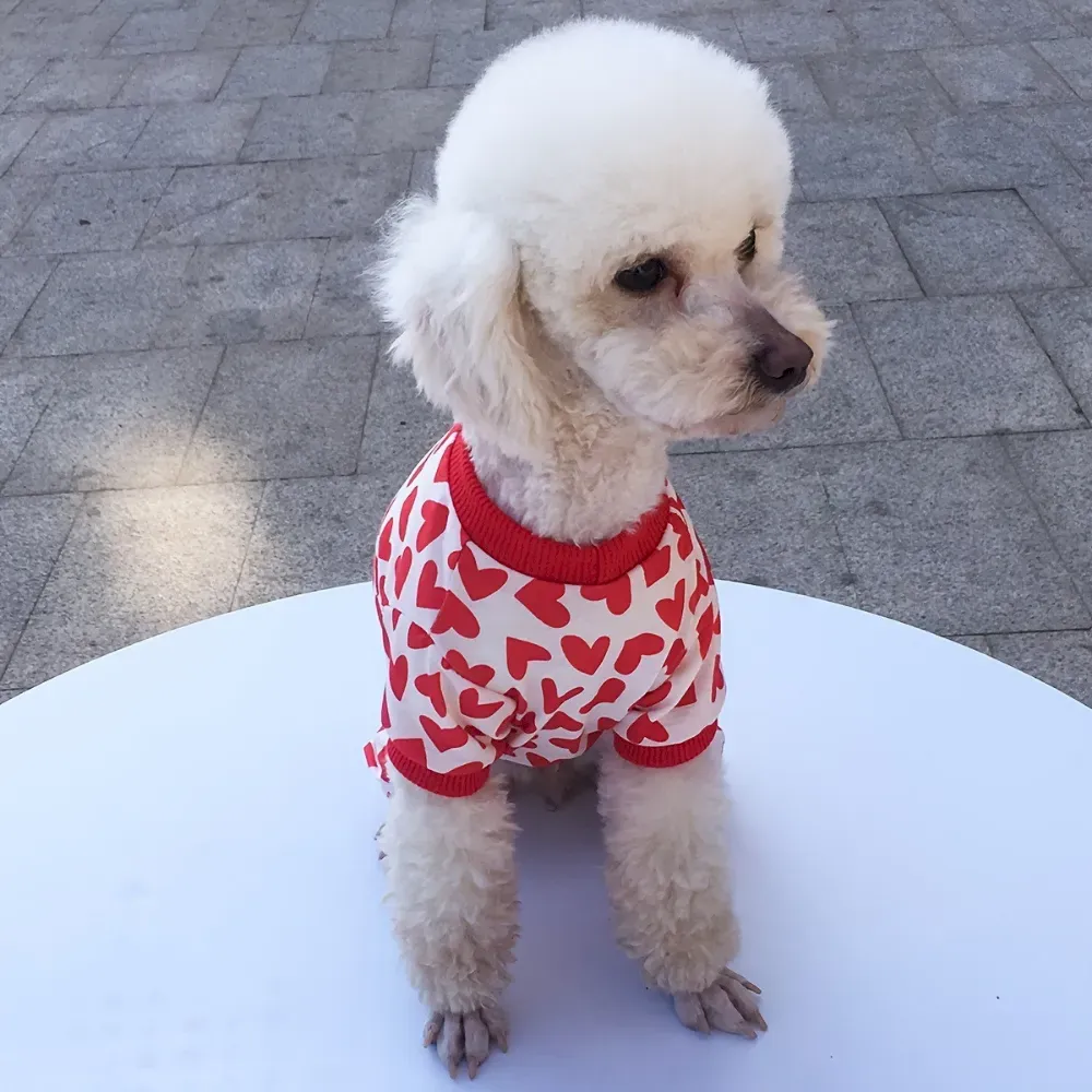 Elastic Pet Clothing