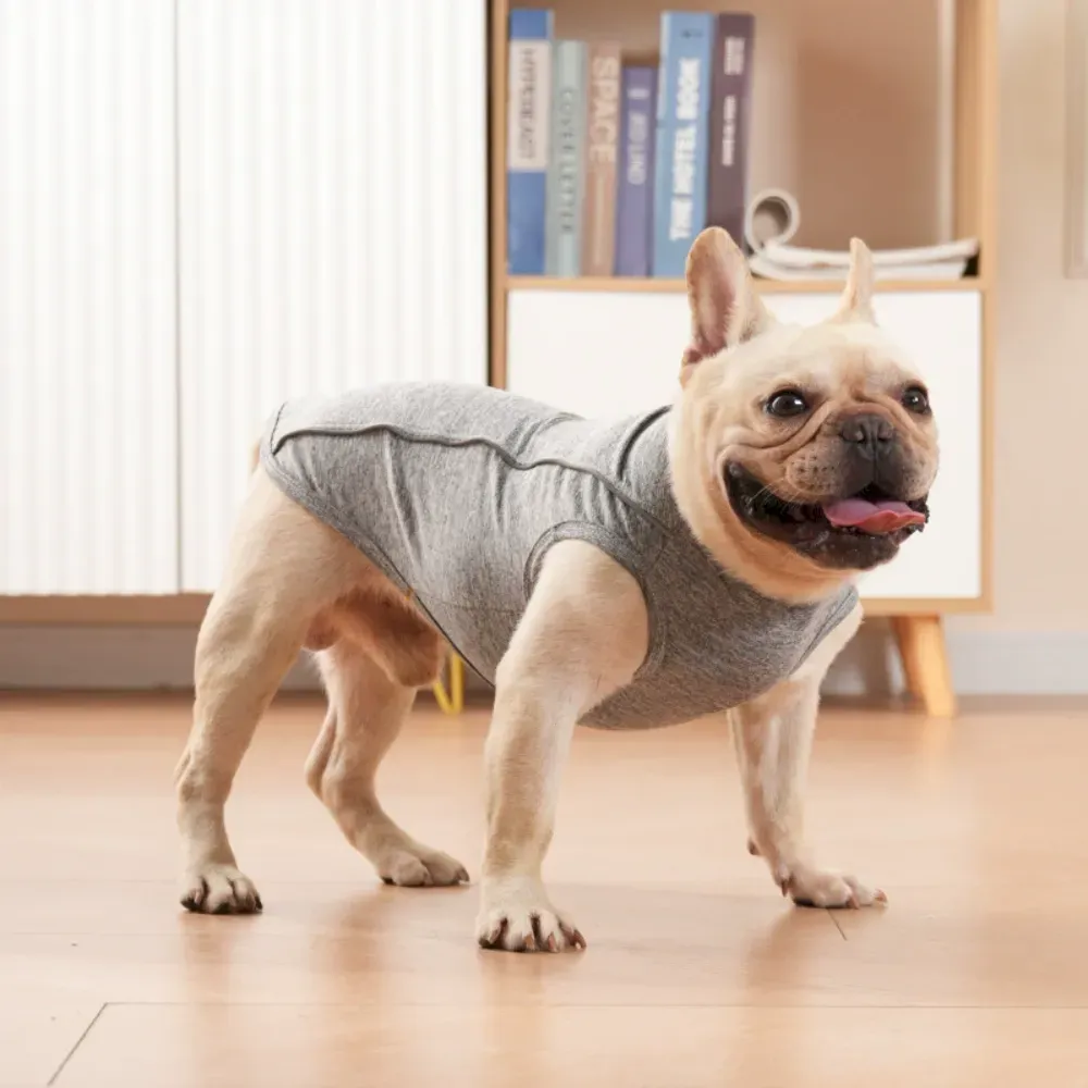 Breathable Polyester Fabric D-Ring for Leash Attachment