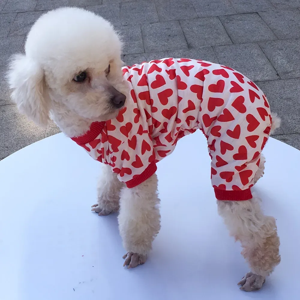 Cotton Four-Legged Jumpsuit