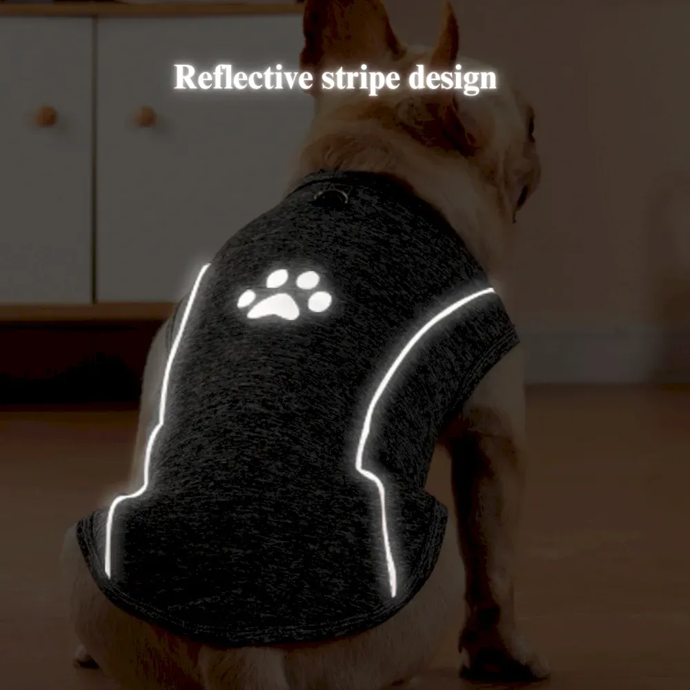 Adjustable Velcro Closure High-Quality Pet Supplies