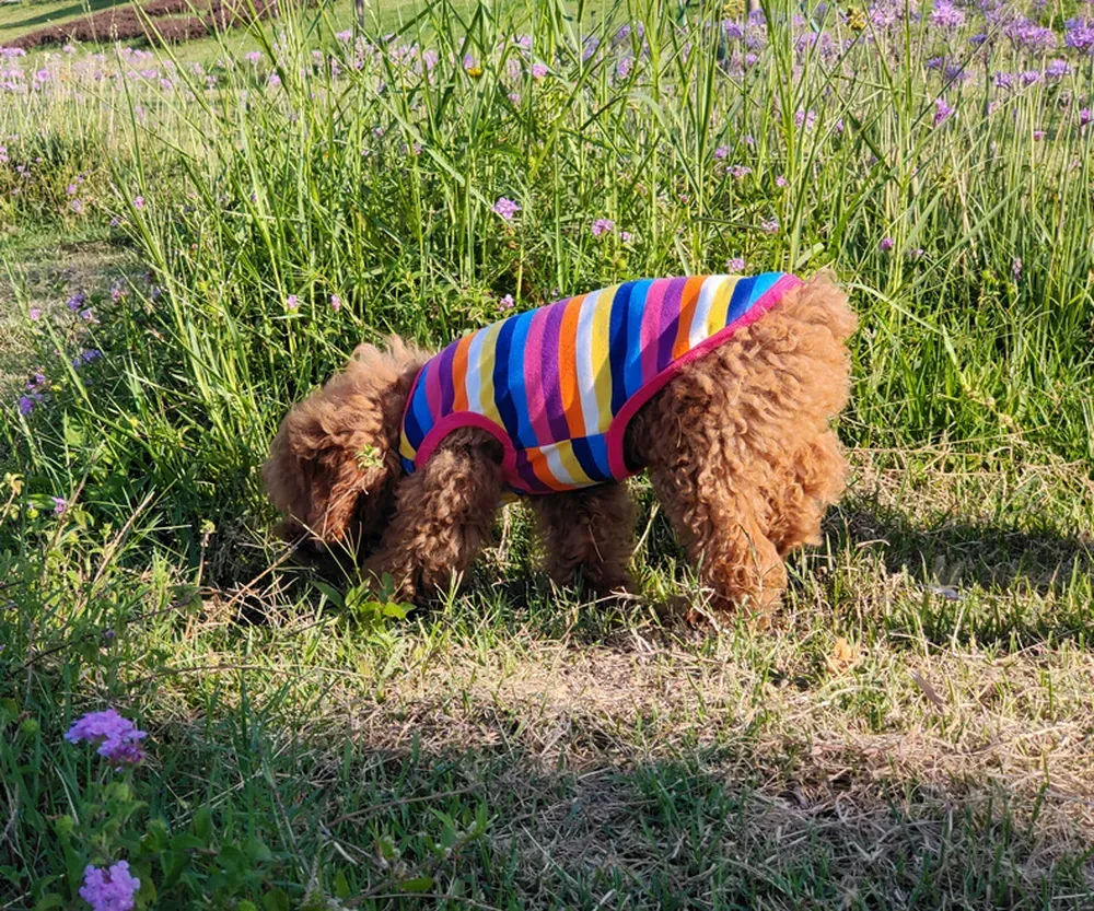 Breathable Colorful Rainbow Vest for Dogs and Cats (7) Soft, breathable fabric to keep pets cool and comfortable during warmer seasons.
