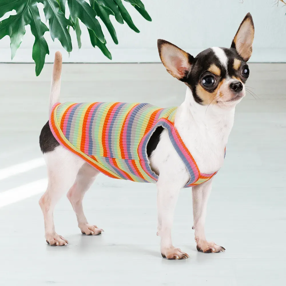 Easy-to-wear pet tank top that provides comfort all day long.