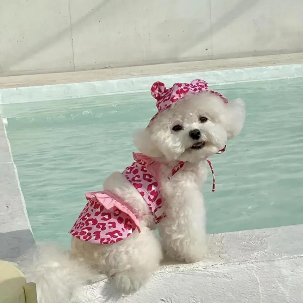 Leopard print dog swimsuit