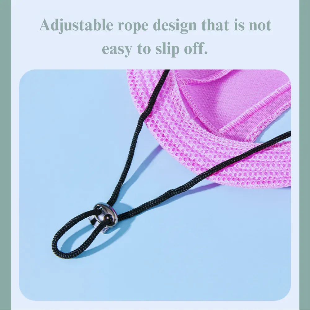 Pet Summer Safety Gear