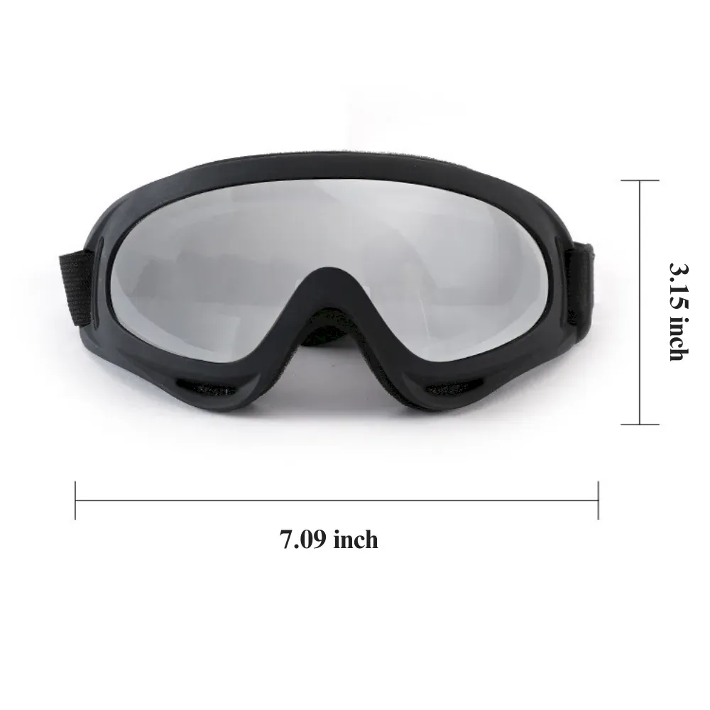 Dog Goggles for Beach