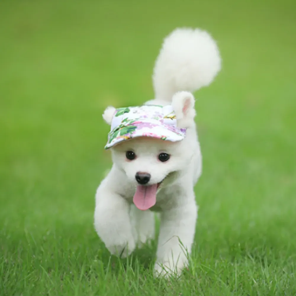 Breathable Dog Hat