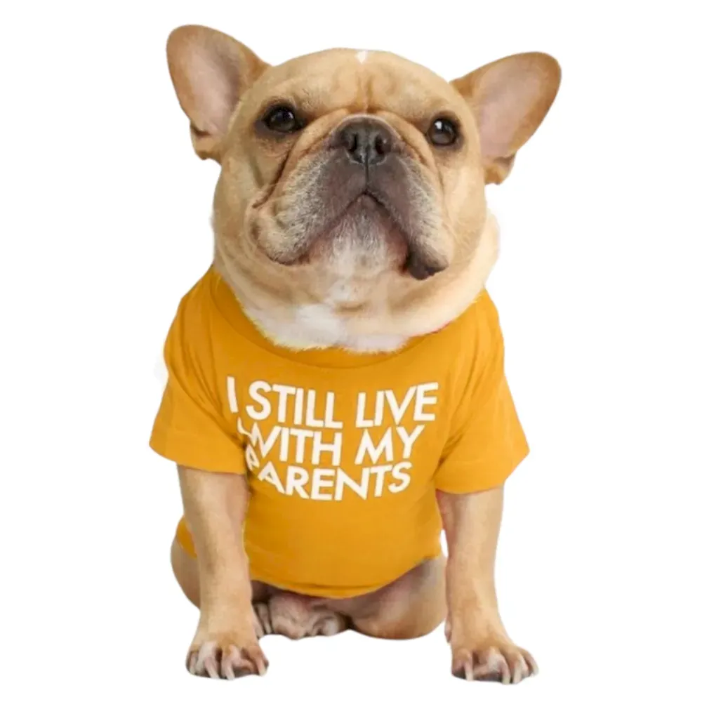 orange Letter printed bulldog t-shirt