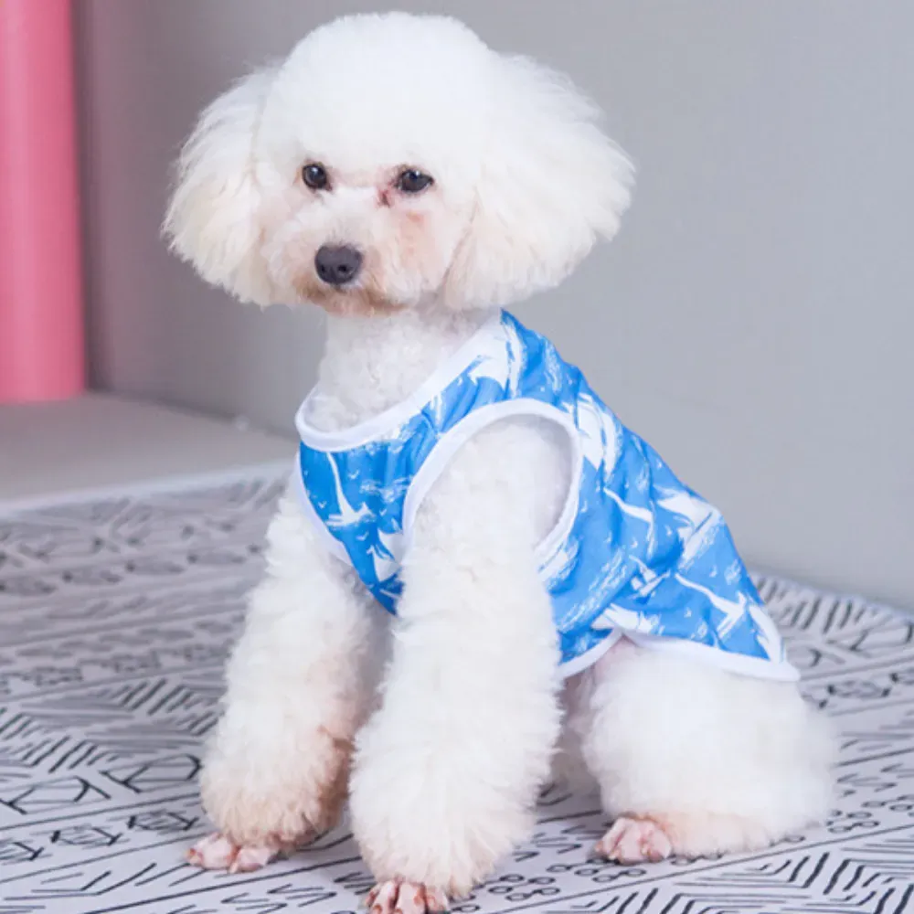 Summer Lightweight Stripe and Star Pet Vest for Dogs (12) Perfect Fit for Various Sizes: Available in sizes XS to XL, this vest ensures a good fit for small to medium-sized pets.