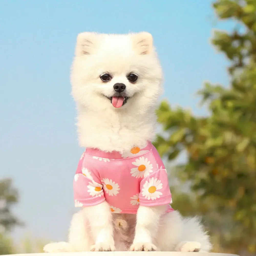 summer dog outfits bulk