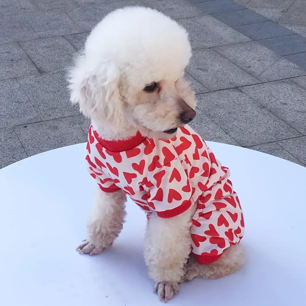 Printed Pet Outfit