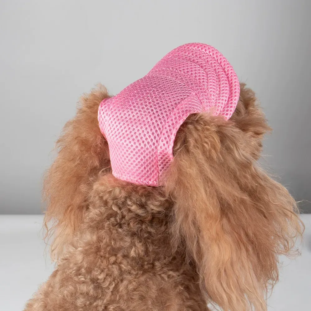 Breathable Dog Hat Pet Hat for Summer Outings
