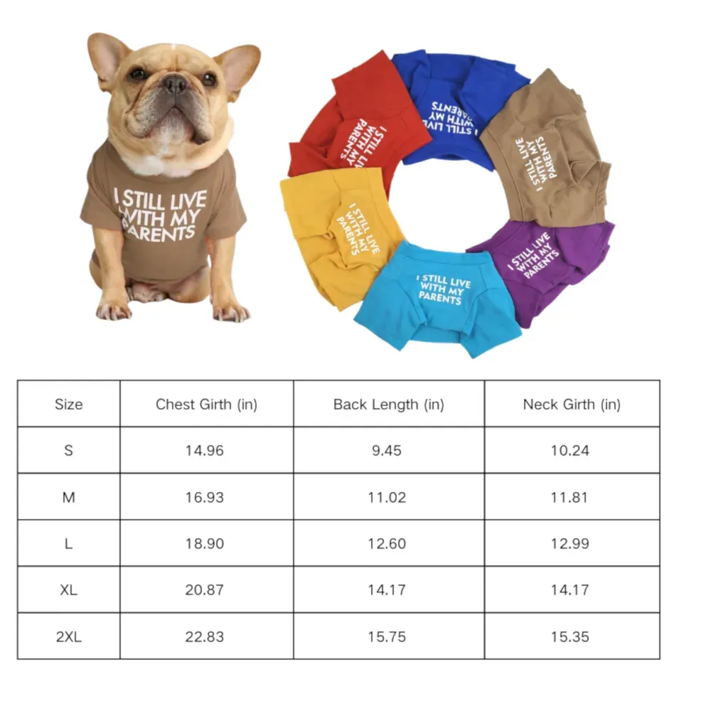 Dog summer t-shirt size