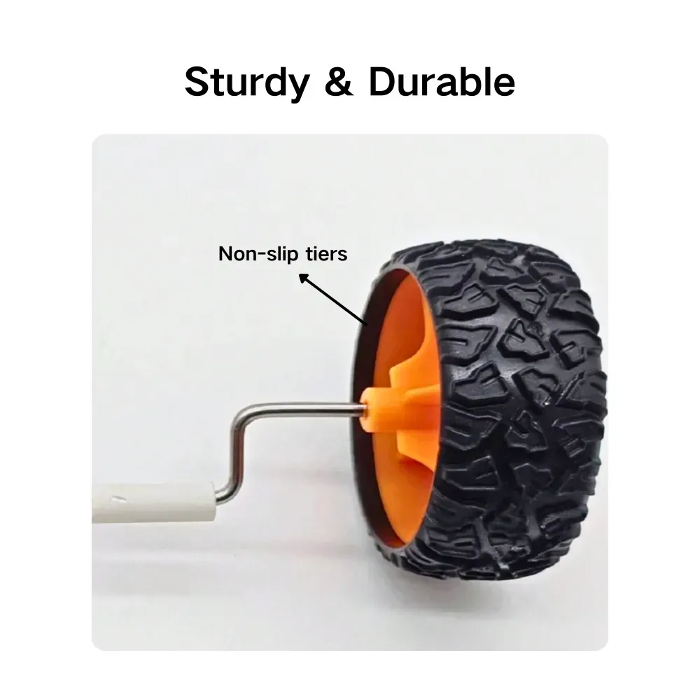 Skateboard Roller Training Toy for Medium and Small Birds