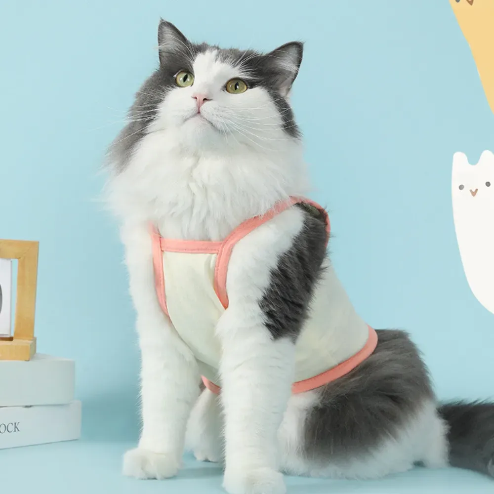 Lightweight, breathable design prevents discomfort and keeps pets cool.