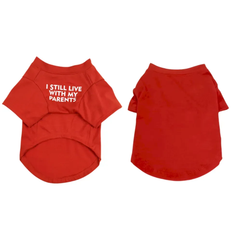 Dog summer t-shirt bulk