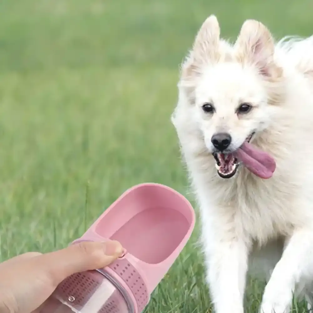Foldable Dog Water Bottle Distributor Foldable Dog Water Bottle Distributor