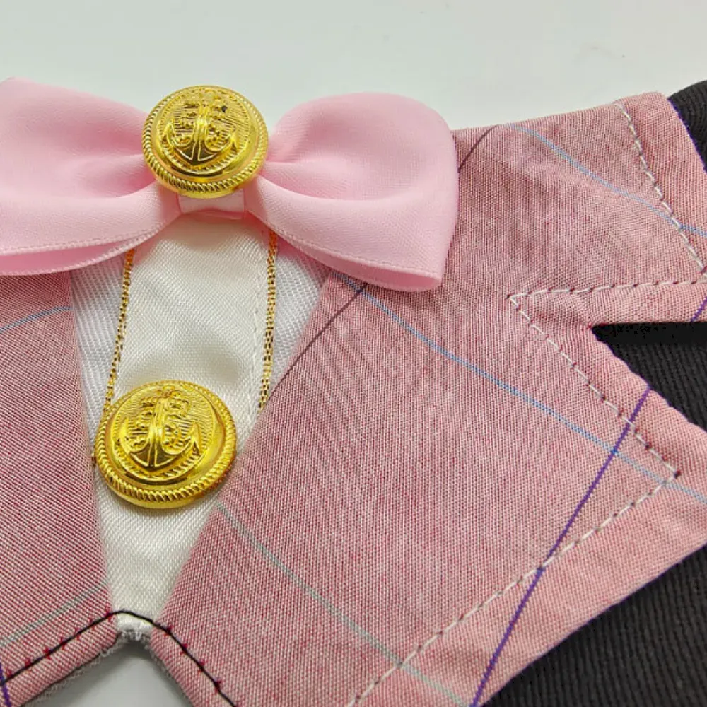 Everyday Pet Collars