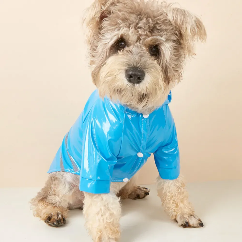 blue PU dog raincoat