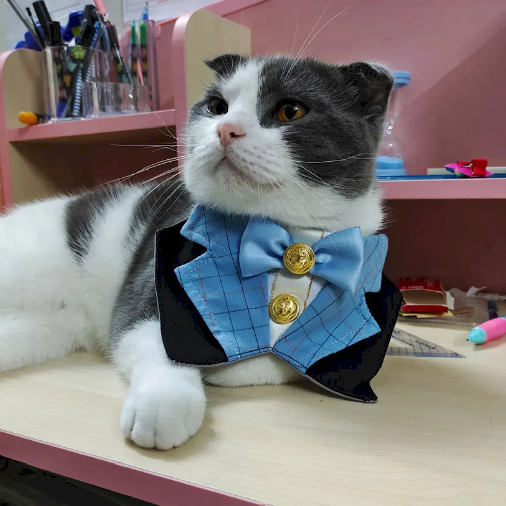 Unique Pet Accessories