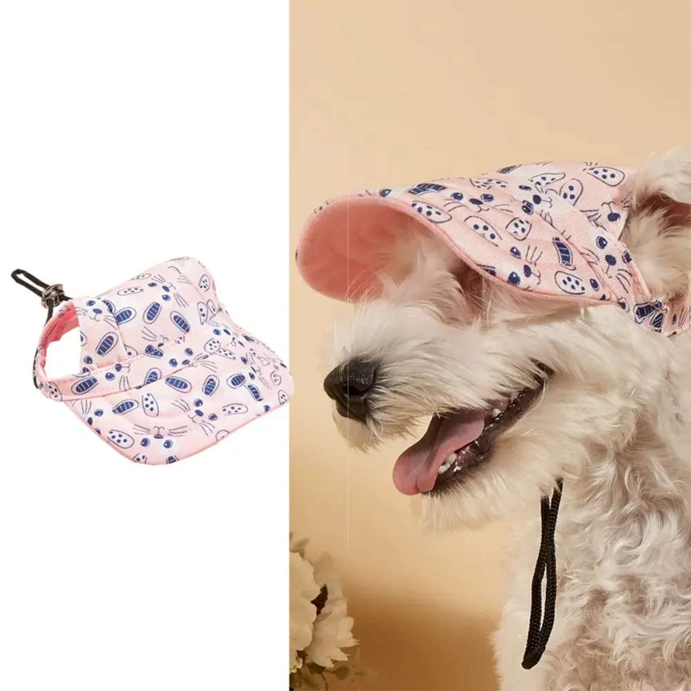 Pet hat for outdoor activities