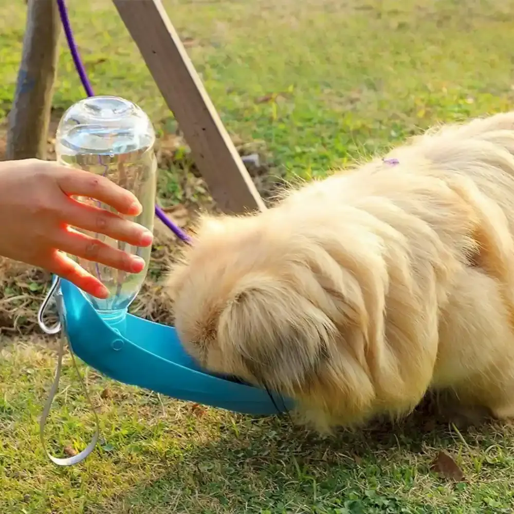 Portable Dog Water Bottle Wholesaler Portable Dog Water Bottle Wholesaler