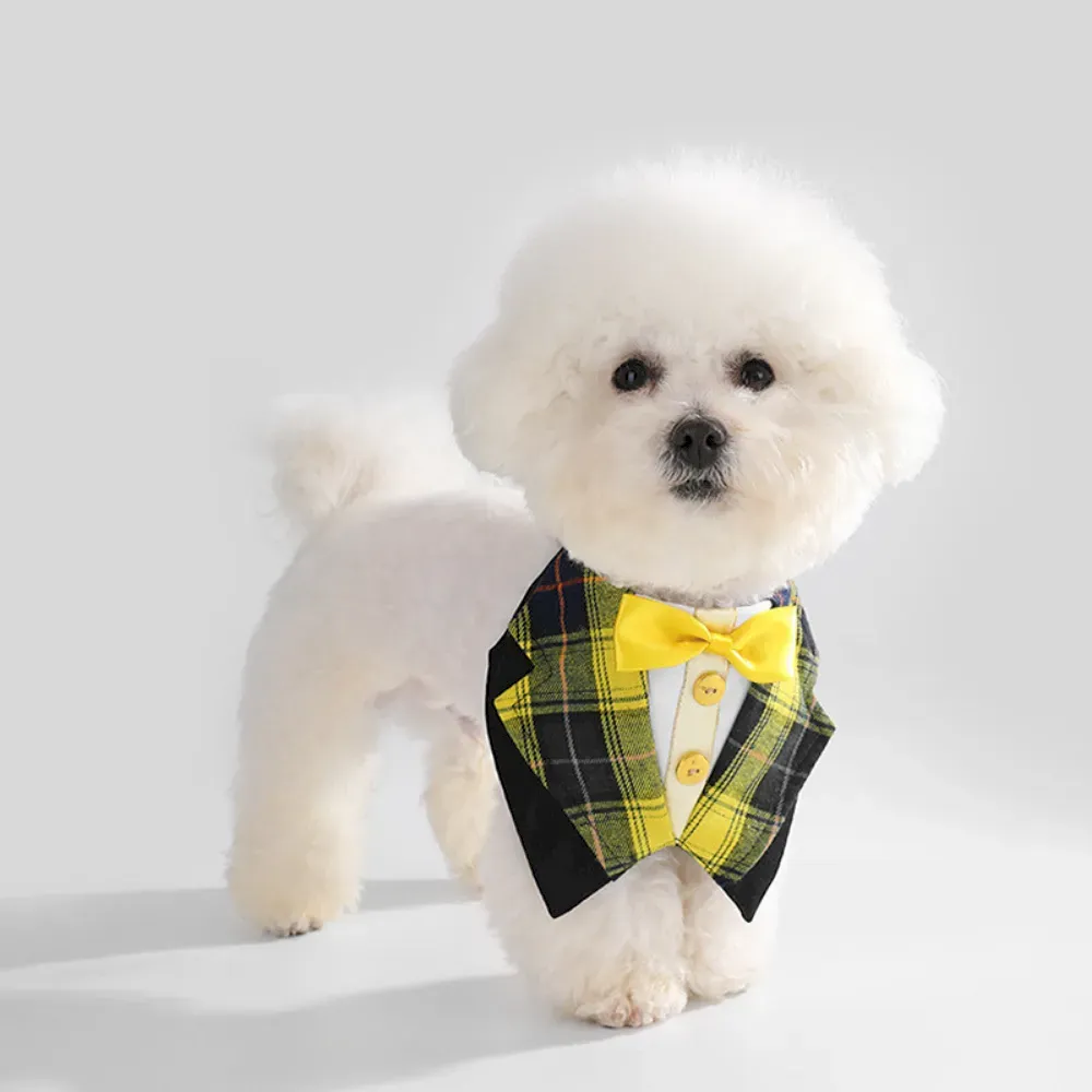 Pet Drool Bibs for Retail