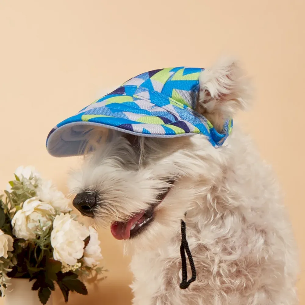 Dog sun protection cap