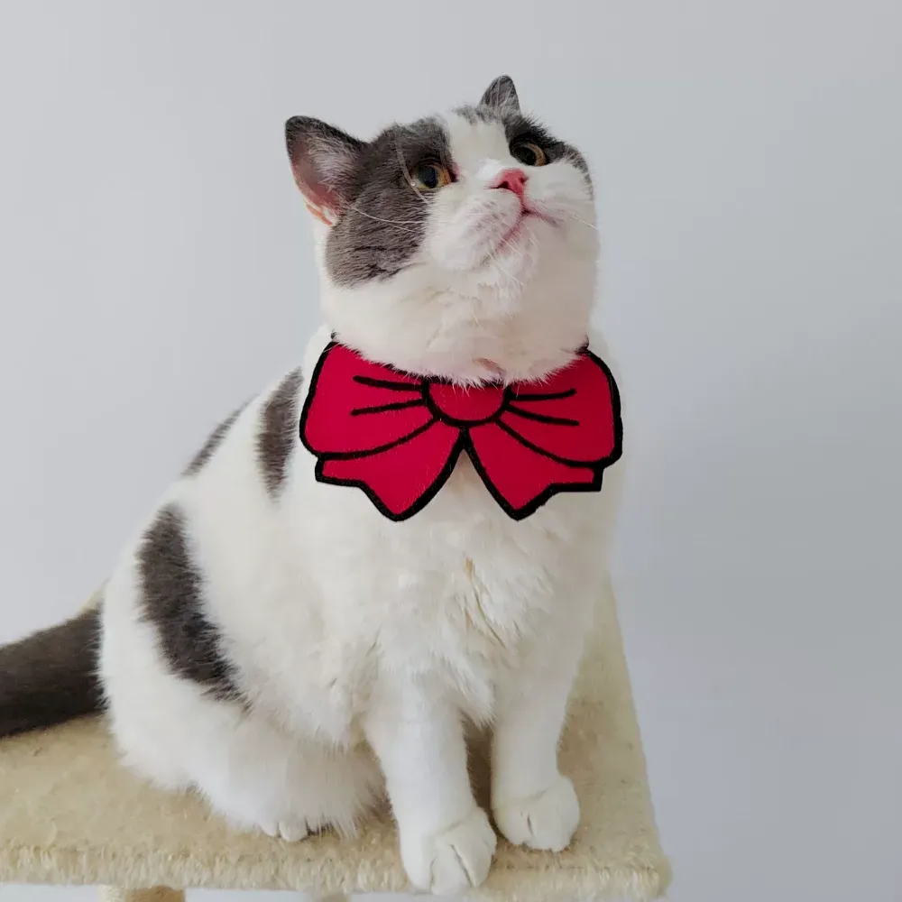 Functional Pet Collars