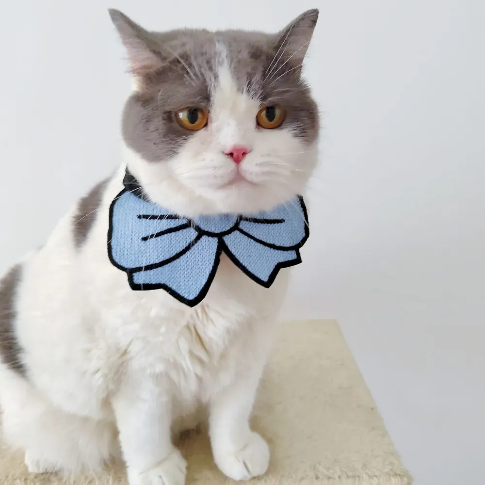 Wholesale Pet Supplies