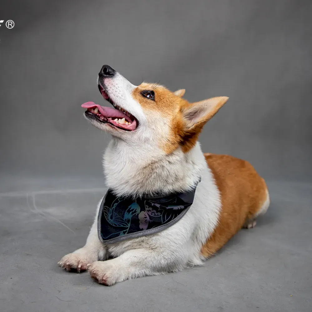 Unique Pet Accessories