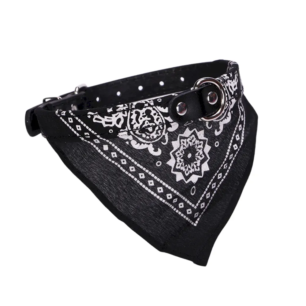 Functional Pet Collar