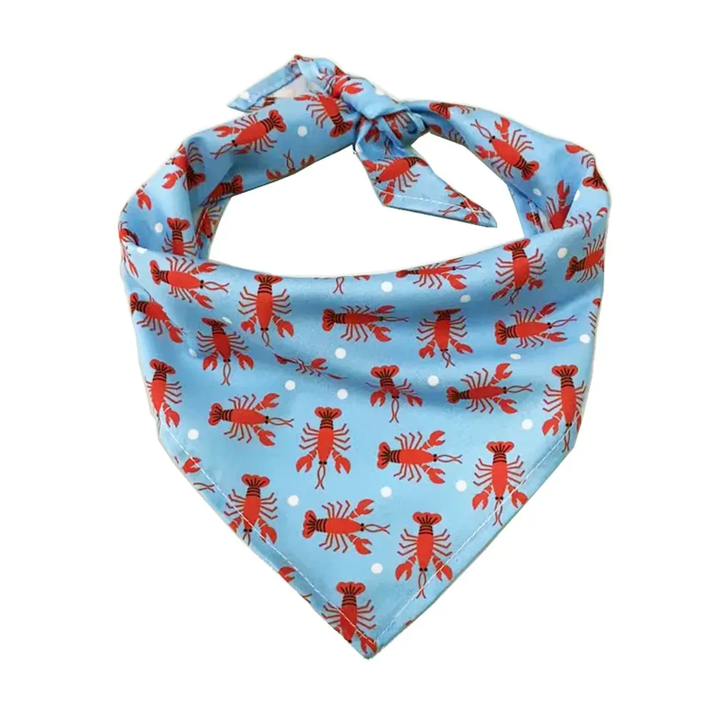  Outdoor Pet Accessories
