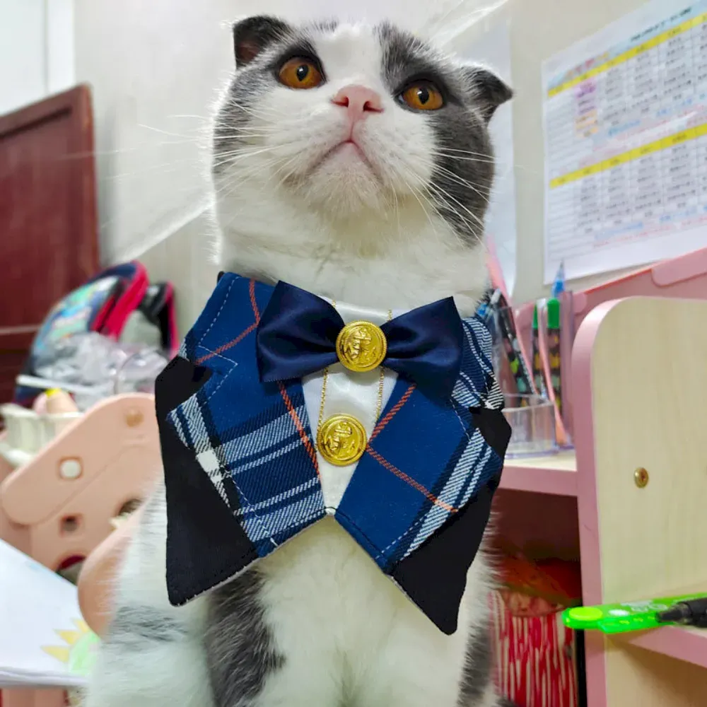 Wholesale Pet Collars