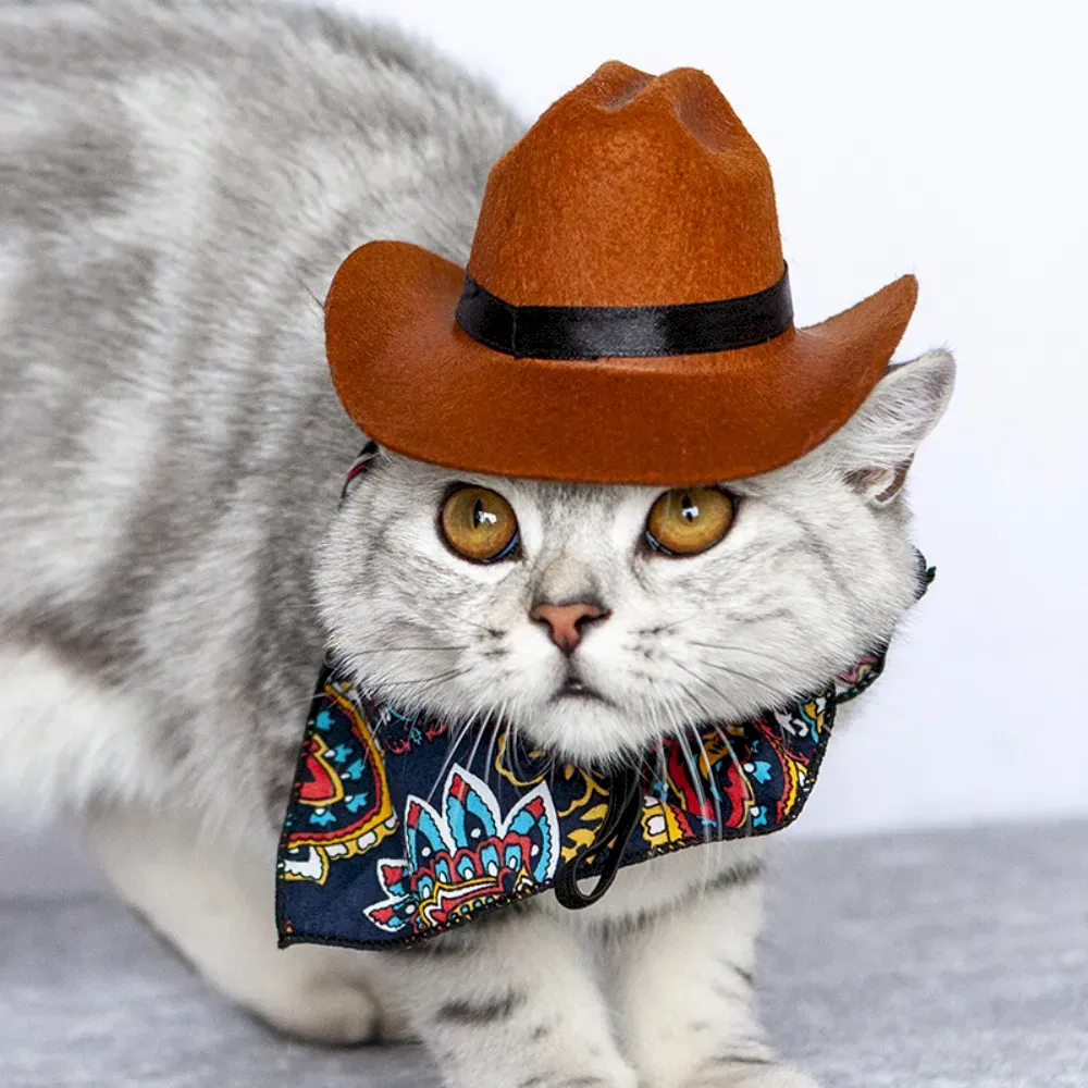 Pet Supplies for Resellers