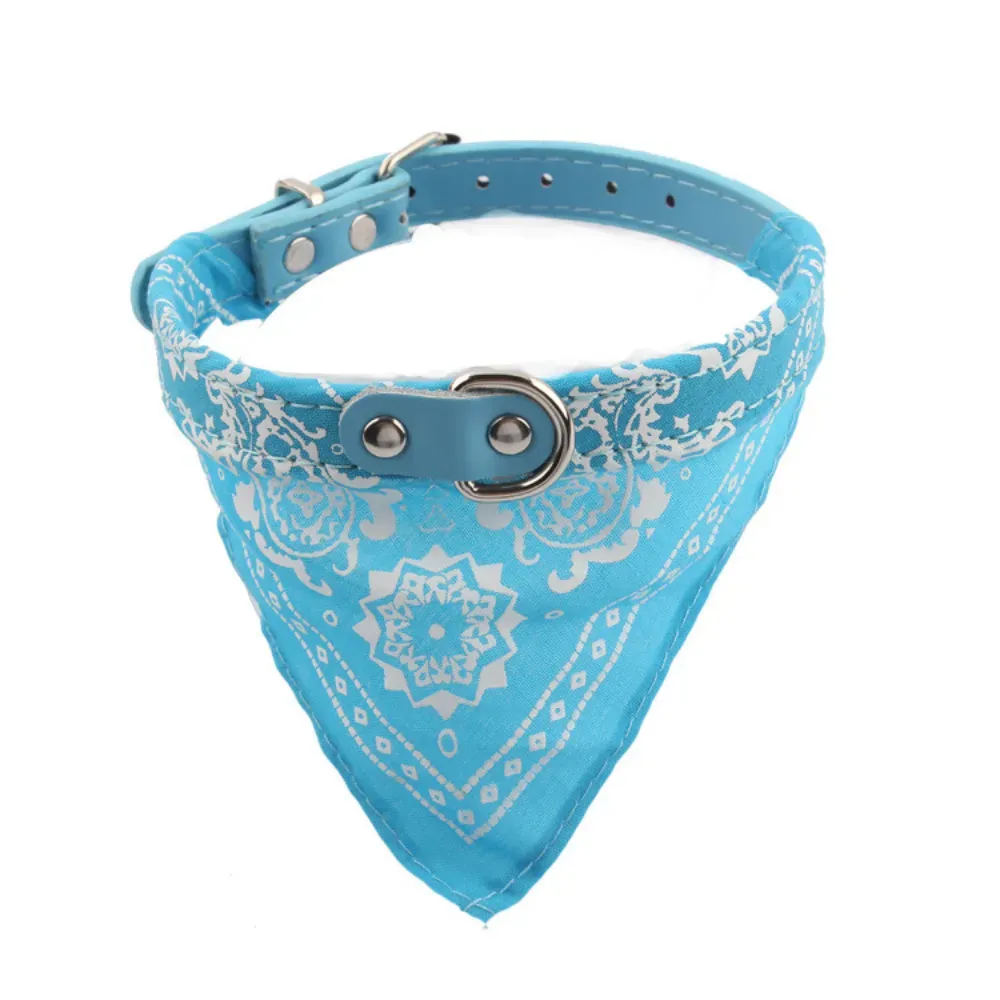 Fashionable Dog Collar