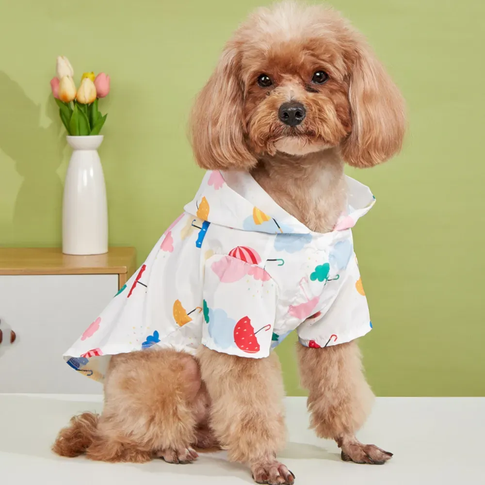 carton dog raincoat carton dog raincoat