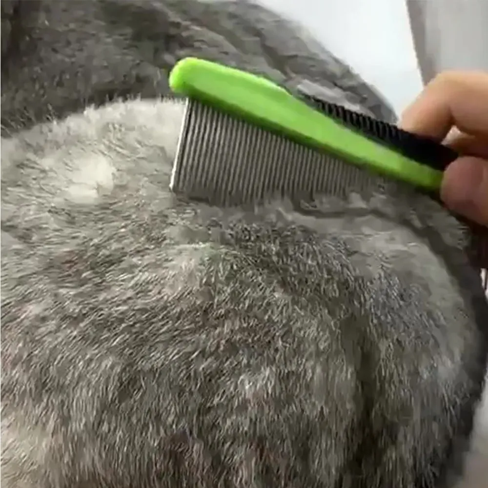 Pet Grooming Tools